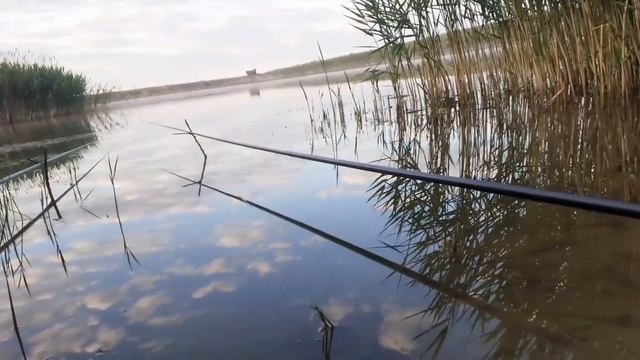25.05.2022 РЫБАЛКА на КАРАСЯ,крючки OWNER! смотреть онлайн
