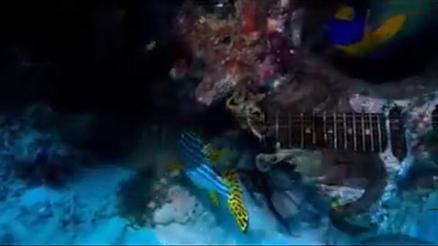 Seymour Duncan STK-S4 / SH-4 смотреть онлайн