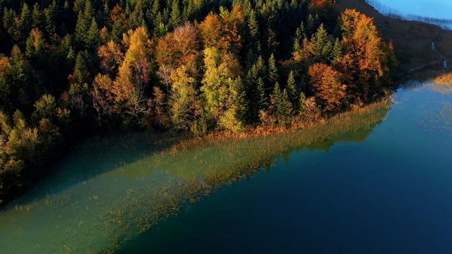 ЖЕНЩИНА КОТОРАЯ СТАЛА МАТЕРЬЮ - НО ОБ ЭТОМ ОЧЕНЬ ЖАЛЕЕТ смотреть онлайн