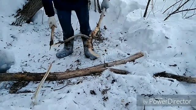 Освоение лагеря в лесу. Строим шалаш.