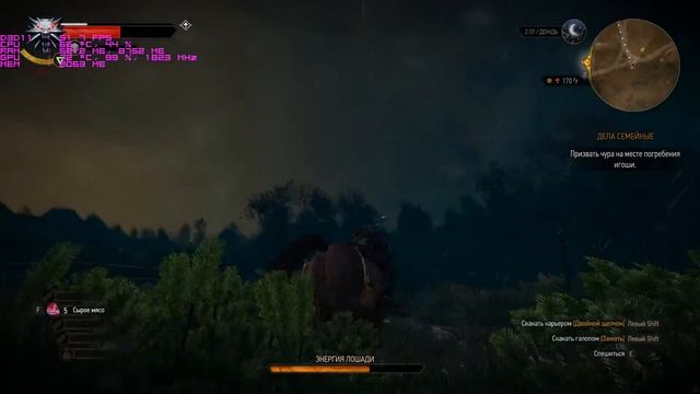 The Witcher 3 на GTX 1070 с xeon x3440(x3450) Ultra смотреть онлайн