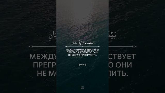 Мухаммад Тарик' | Сура "Ар-Рахман" аяты: 19-21 | #quran #islam смотреть онлайн