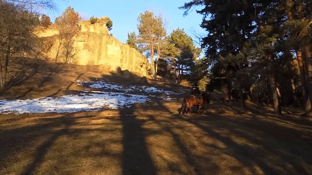 кисловодск смена(2) смотреть онлайн