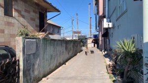 РЫБНЫЙ РЫНОК БАТУМИ. ЦЕНЫ! БАТУМИ ЯНВАРЬ 2023.