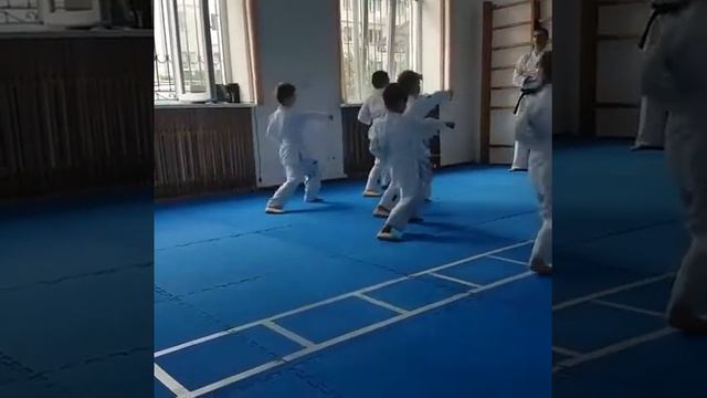 Спортивная секция, спортивная школа по каратэ Черновцы, Bushido смотреть онлайн