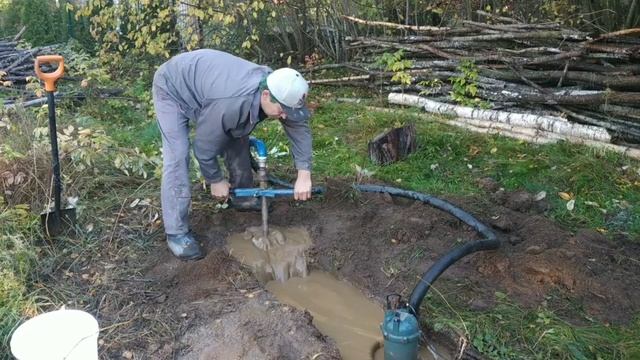 Стаб А вымыл зубы дракона. Что делать ,если зубов много? смотреть онлайн