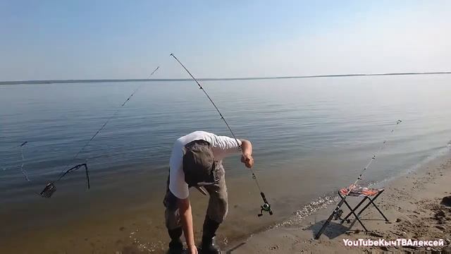 Якутия. Рыбалка. Кангаласский мыс. 4.8.21. Yakutia. Fishing. Kangalassky cape. 4.8.21. смотреть онлайн
