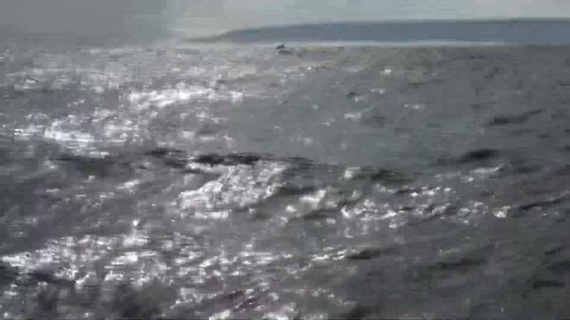 Рыбалка Баренцевом море, Кильдин северный улучшен смотреть онлайн