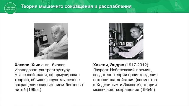10 RUS МЕХАНИЗМ СОКРАЩЕНИЯ МЫШЕЧНОГО ВОЛОКНА смотреть онлайн