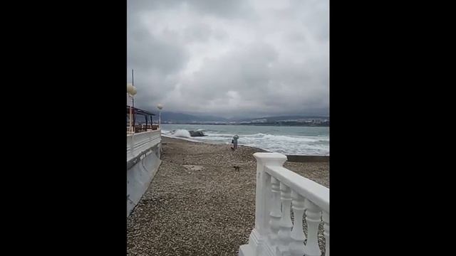 Прогулка у моря, Геленджик 02.02.2020. Волшебная дата! смотреть онлайн