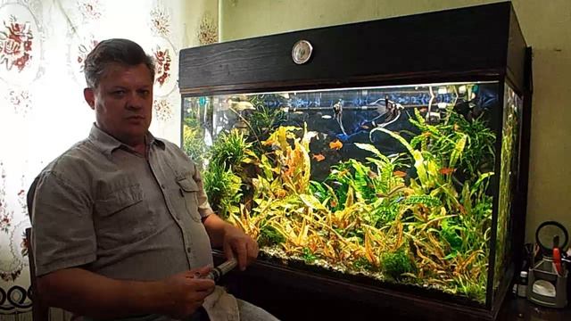 Точечная сифонка грунта в аквариуме. смотреть онлайн