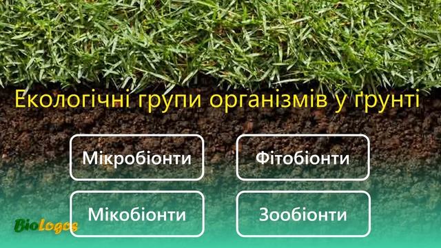 Ґрунтове середовище існування смотреть онлайн