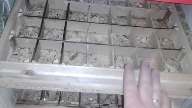 Решетки для инкубатора смотреть онлайн