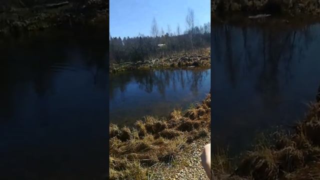 Выбралась из карантина / Выходные на даче смотреть онлайн