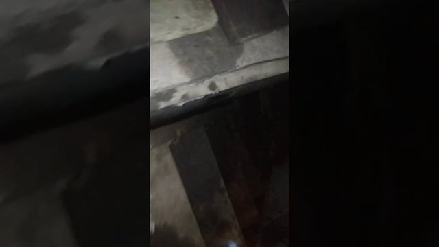 д 245 номер двигателя смотреть онлайн