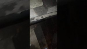 д 245 номер двигателя