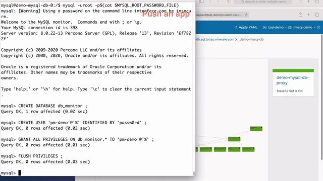Tanzu SQL MySQL: Deploying MySQL Instances смотреть онлайн