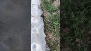 Стоимость заливки фундамента