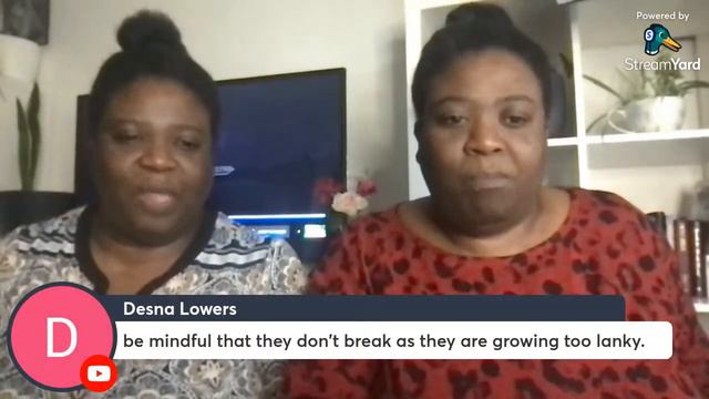 Foods With Colour: How do they make you feel? смотреть онлайн