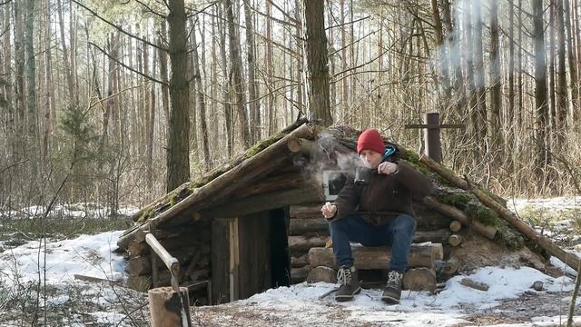 УШЕЛ ЖИТЬ В ЗЕМЛЯНКУ. ТРИ ДНЯ ОДИН В ЛЕСУ. Сделал Солонец для Животных. Дом под Землей смотреть онлайн