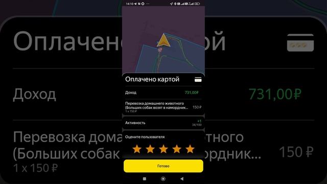 Норм заказ до Пулково смотреть онлайн