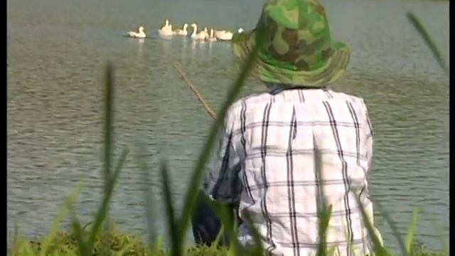 Дима Блинников - «Хочу в деревню»