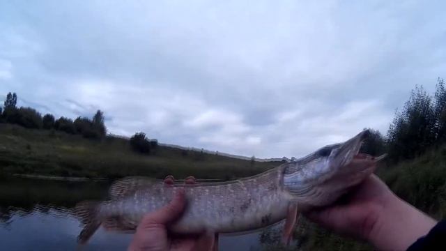 Празднуем окончание нерестового запрета на Упе смотреть онлайн