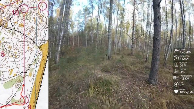 Спортивное ориентирование (headcam orienteering) - Марафон Шефа, общий старт - 03.10.21 смотреть онлайн