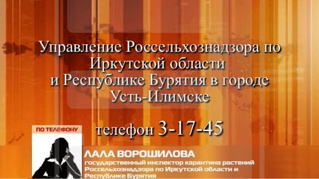 ГОРБАТАЯ МУХА 28 01 2019 смотреть онлайн