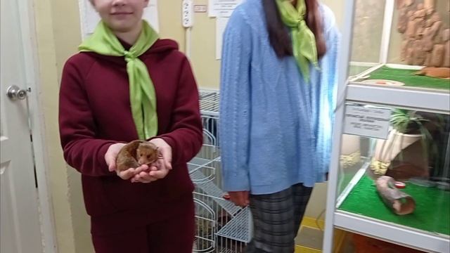 юннатский ералаш.mp4