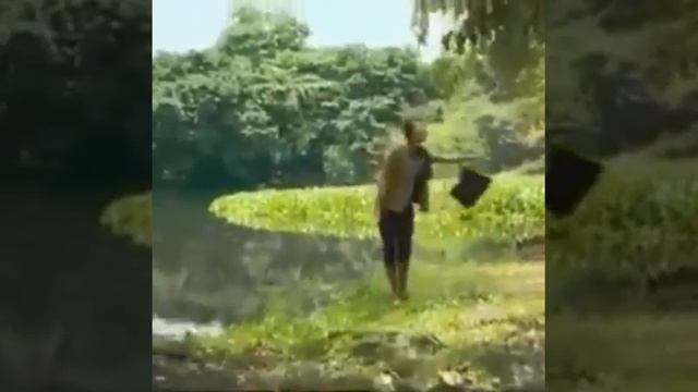 Шок! Девушку съел крокодил смотреть онлайн