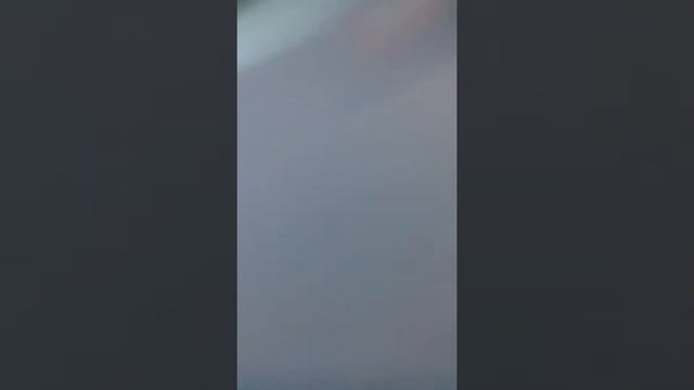 Бомжатник смотреть онлайн