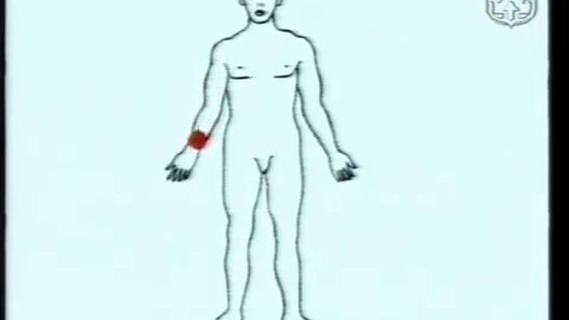 Энергетика и психотехника воина Часть 1 11 смотреть онлайн