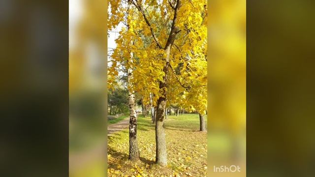 * Белая береза * Володя Путьмаков смотреть онлайн