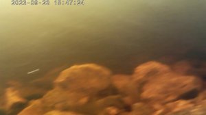 видео под водой.