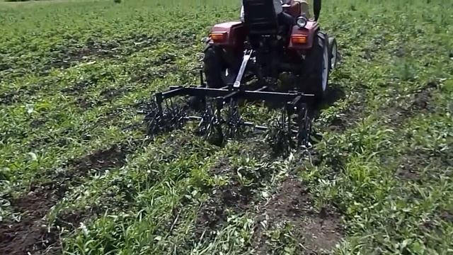 синтай+ежи смотреть онлайн