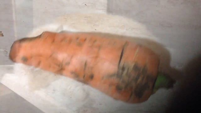 Инопланетяне прилетели/ Дела домашние/ Наш ужин смотреть онлайн