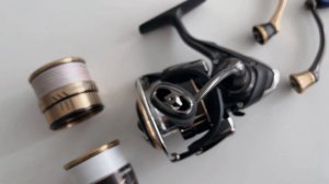 Daiwa 20 Ballistic EX LT 2500D. Недооцененная катушка.