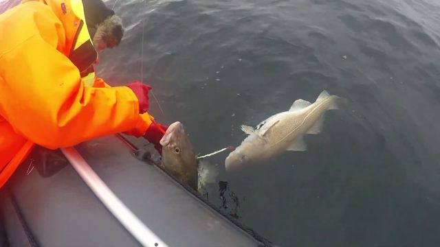 Дуплет удачи смотреть онлайн