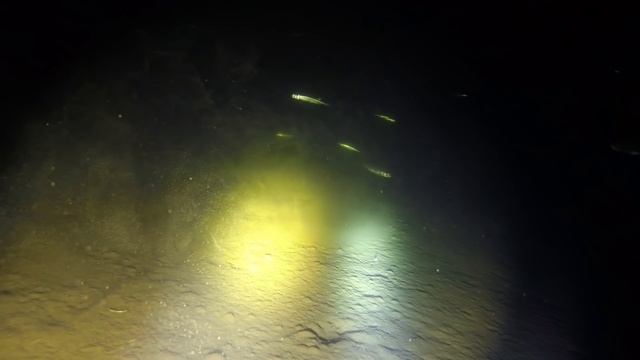 Корюшка под лункой / Smelt under the hole смотреть онлайн