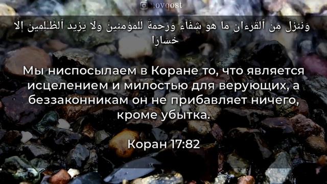 Иса Барахоев - Сура аль-Исра, аяты 81-82. смотреть онлайн