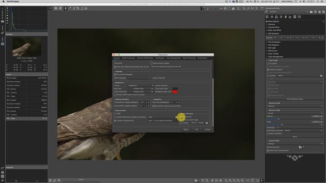 Raw Therapee, Lightroom & Photoshop Integration plus Canon R5 image thoughts! смотреть онлайн