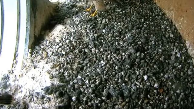 Тренировка - 8 июля 2022 смотреть онлайн