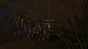 ЦЕЛИТЕЛЬСТВ В КОТАХ ВОИТЕЛЯХ ROBLOX! *Жар, Пчелы, Роды*