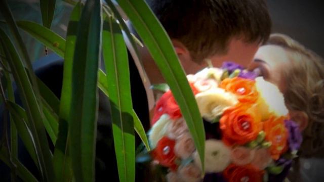 Овчарук Наталия свадьба 23 смотреть онлайн
