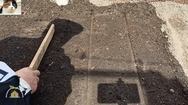 Как сажать семена моркови в гранулах весной в открытый грунт смотреть онлайн