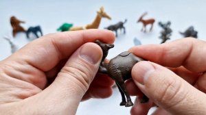 Natoons 2023 - Collection of standard and Maxi animals - Kinder Surprise Natoons "Applaydu"