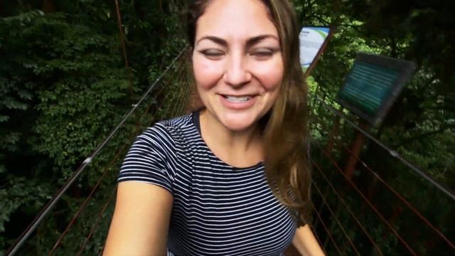 Monteverde Cloud Forest Reserve | Watch BEFORE You Go | Costa Rica смотреть онлайн