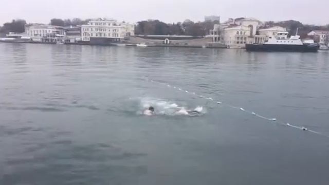 заплыв моржей 6 ноября 2017 смотреть онлайн