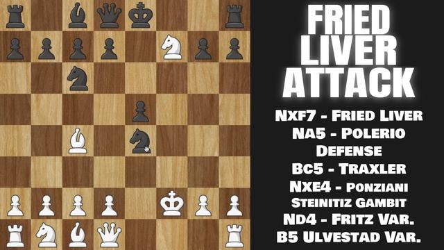 FRIED LIVER ATTACK - NO-NONSENSE GUIDE смотреть онлайн